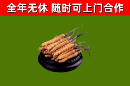 卫辉市烟酒回收冬虫夏草.jpg