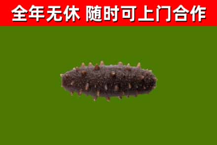 卫辉市烟酒回收干海参.jpg